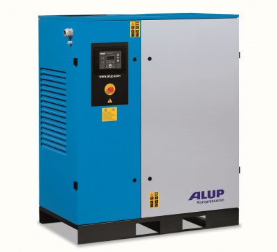 Allegro 19-13