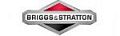 Briggs & Stratton