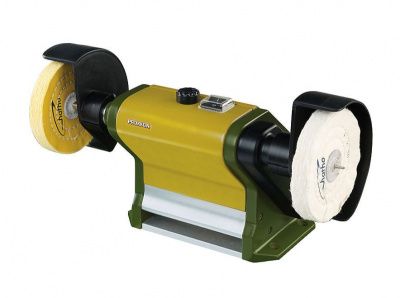 PM 100